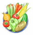 /album/fotogalerie-illustration/fr-vegetables-jpg/