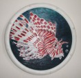 /album/fotogalerie-oil1/lionfish-jpg2/